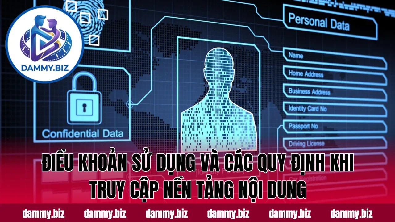 Điều khoản sử dụng và các quy định khi truy cập nền tảng nội dung