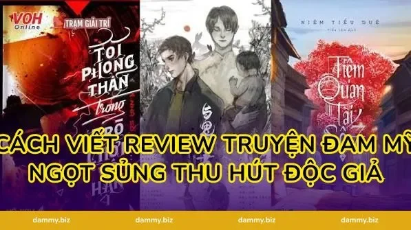 Cách Viết Review Truyện Đam Mỹ Ngọt Sủng Thu Hút Độc Giả