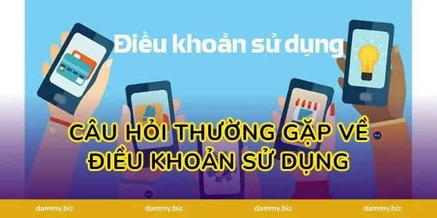 Câu hỏi thường gặp về Điều khoản sử dụng