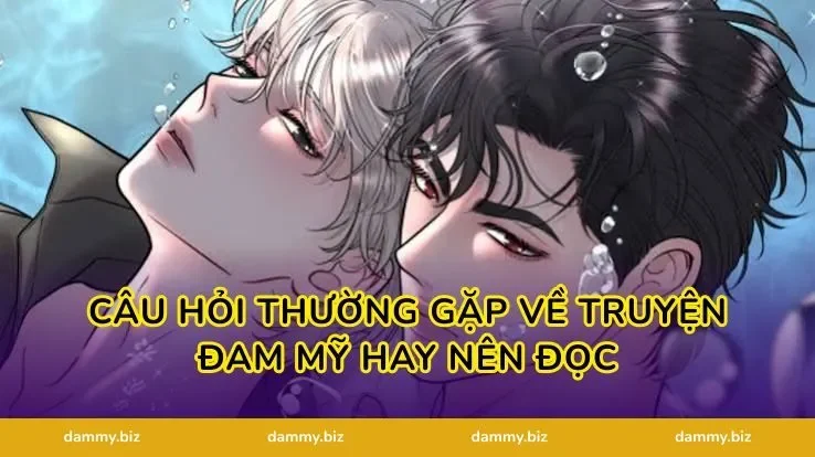 Câu hỏi thường gặp về truyện đam mỹ hay nên đọc