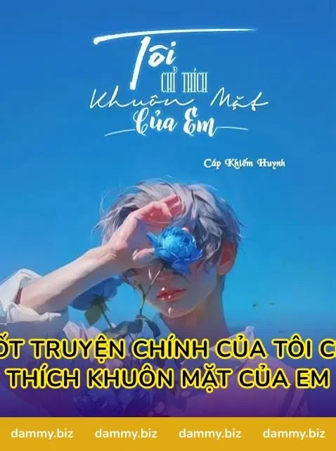 Cốt Truyện Chính Của Tôi Chỉ Thích Khuôn Mặt Của Em