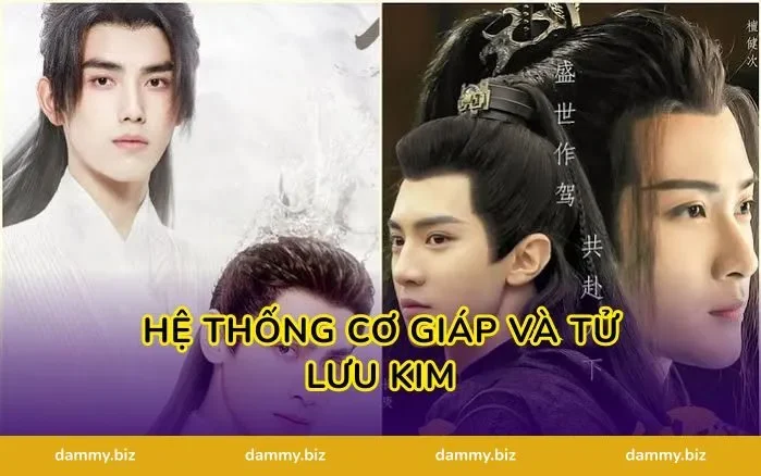 Hệ Thống Cơ Giáp Và Tử Lưu Kim