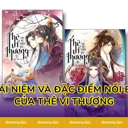 Khái Niệm Và Đặc Điểm Nổi Bật Của Thê Vi Thượng