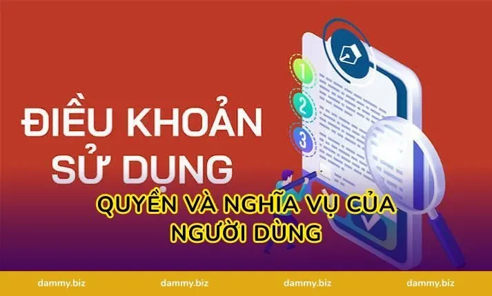 Quyền và nghĩa vụ của người dùng