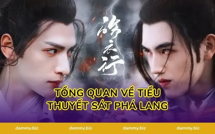 Tổng Quan Về Tiểu Thuyết Sát Phá Lang