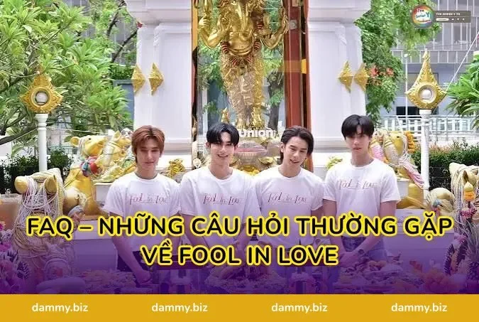 FAQ – Những Câu Hỏi Thường Gặp Về Fool in Love