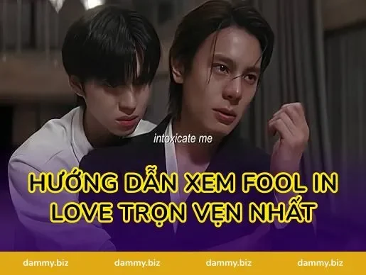 Hướng Dẫn Xem Fool in Love Trọn Vẹn Nhất